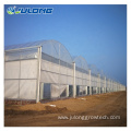 commercial green houses multi span tomato greenhouse